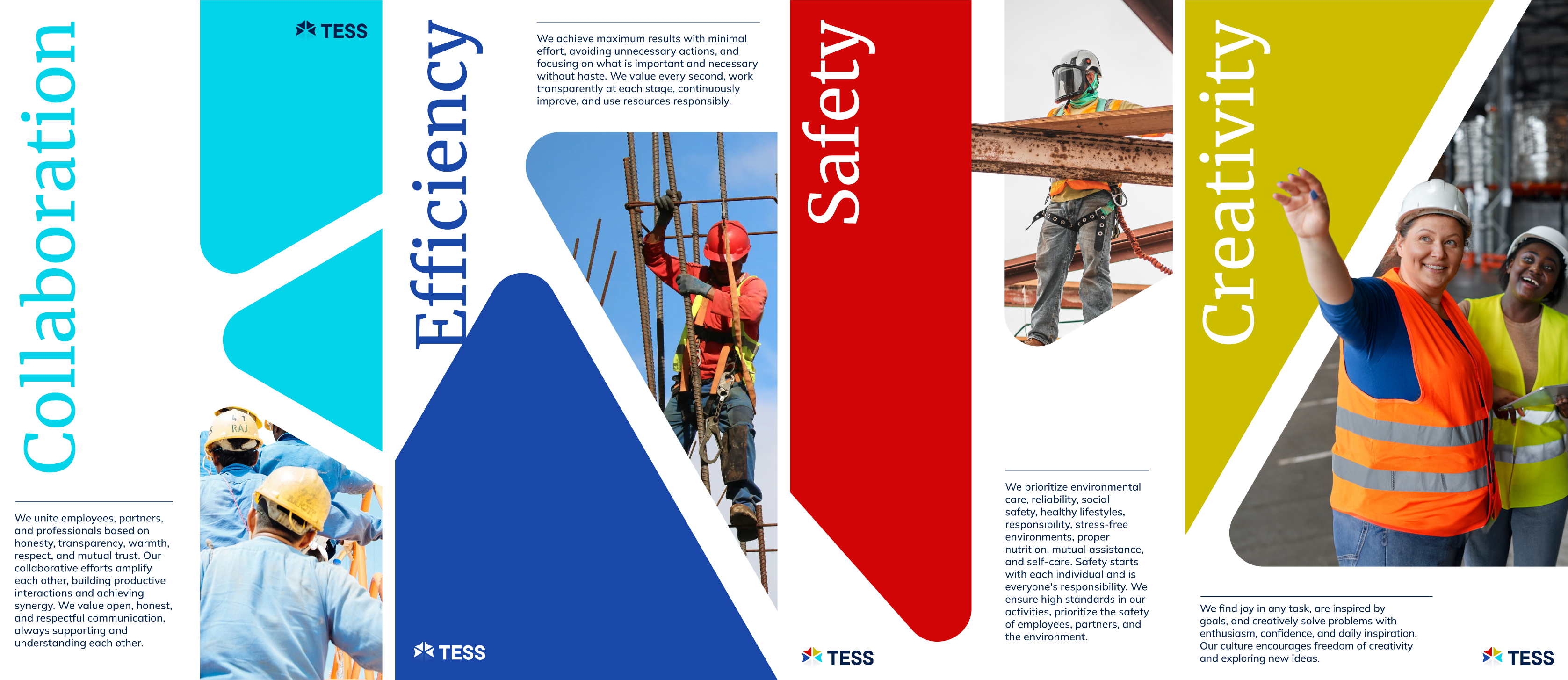 tess gallery image 1