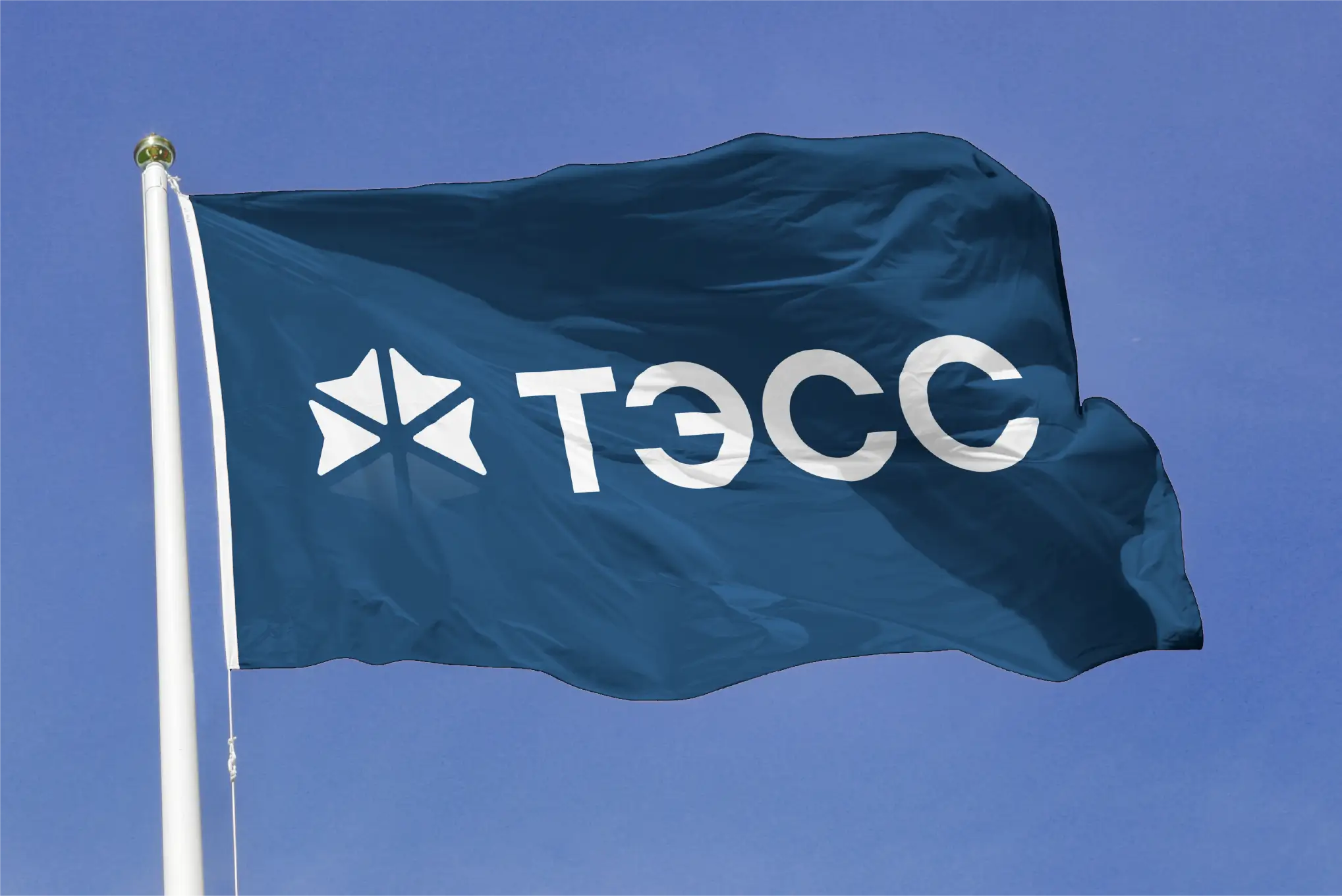 tess gallery image 1