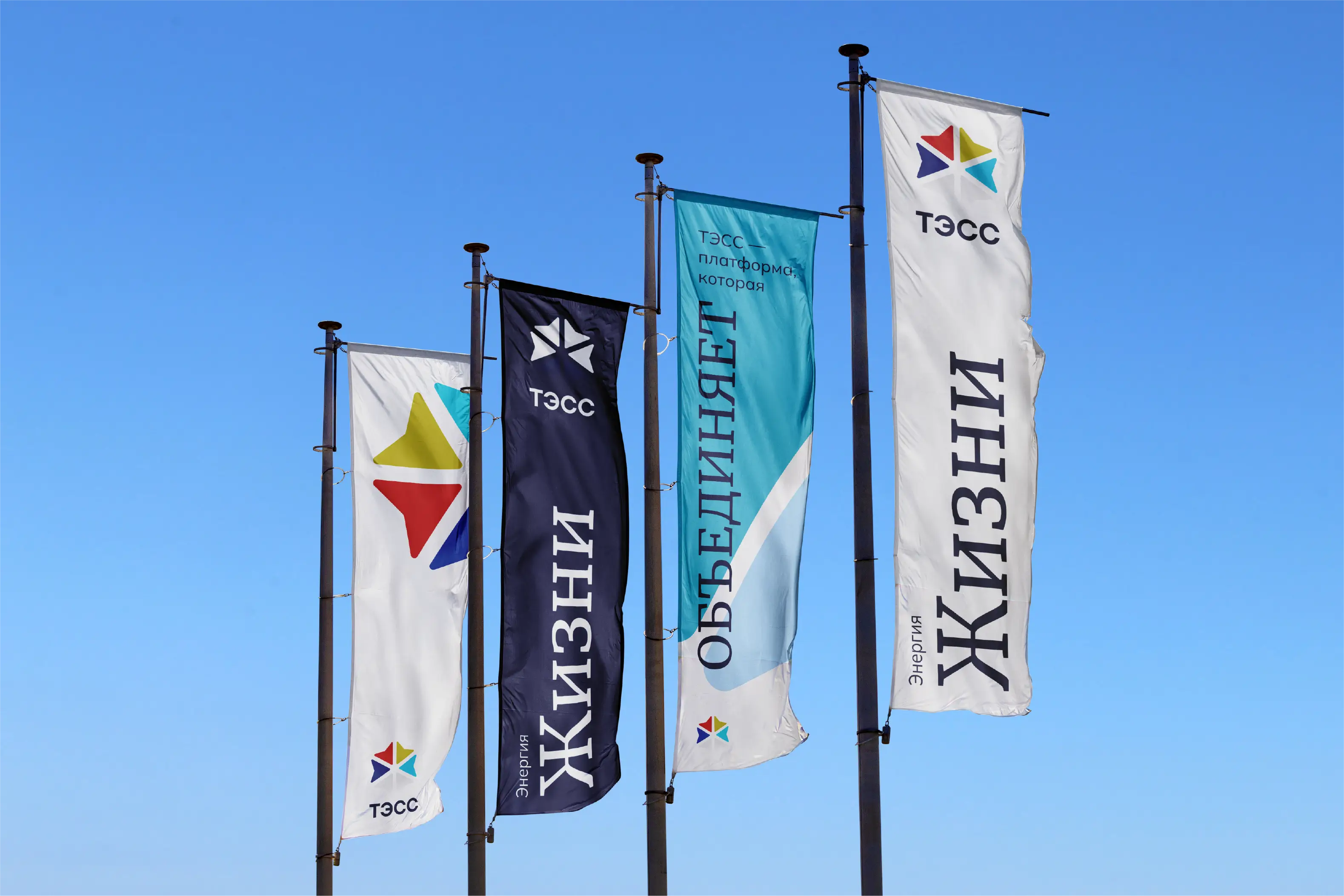 tess gallery image 1